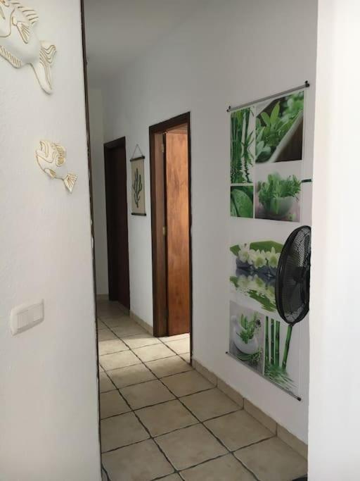 Apartamento Playero Privado Wifi- Morrojable Morro Jable  Exteriör bild